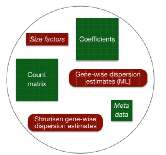 RNA-seq 详细教程： `DESeq2` 差异表达分析（7）